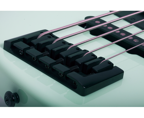 Пятиструнная бас-гитара SCHECTER J-5 SFG