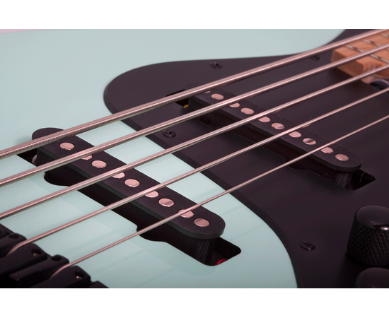 Пятиструнная бас-гитара SCHECTER J-5 SFG