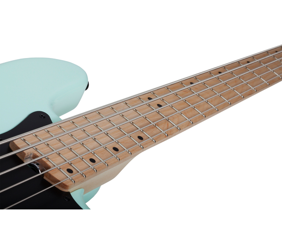 Пятиструнная бас-гитара SCHECTER J-5 SFG