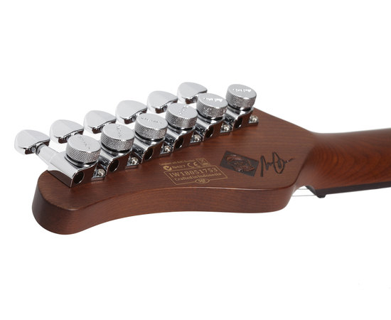 Электрогитара SCHECTER NICK JOHNSTON DS TRAD A.GREEN