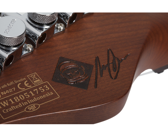 Электрогитара SCHECTER NICK JOHNSTON DS TRAD A.GREEN