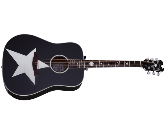 Электроакустическая гитара SCHECTER RS-1000 STAGE ACOUSTIC - 142136 за 64457 грн. | 4Club