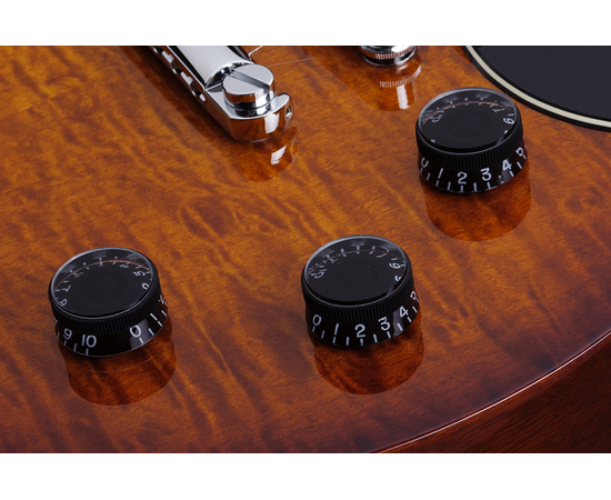 Электрогитара SCHECTER SOLO-II STANDARD FVSB