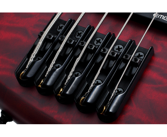 Пятиструнная бас-гитара SCHECTER STILETTO CUSTOM-5 VRS
