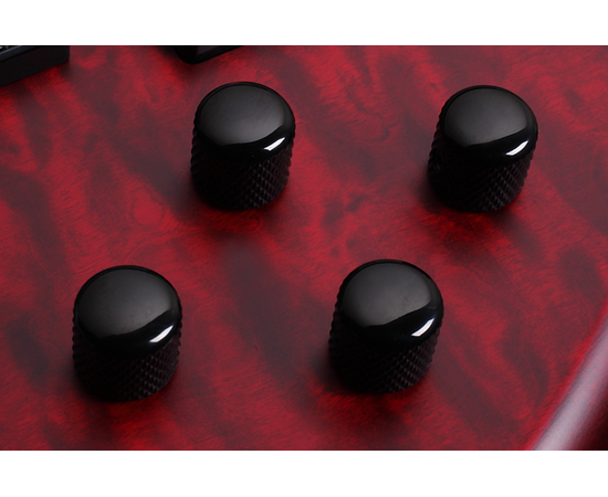 Пятиструнная бас-гитара SCHECTER STILETTO CUSTOM-5 VRS