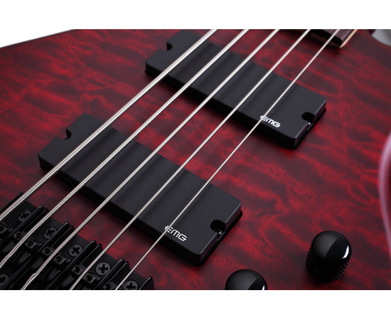 Пятиструнная бас-гитара SCHECTER STILETTO CUSTOM-5 VRS