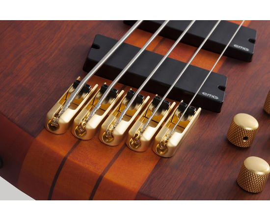 Пятиструнная бас-гитара SCHECTER STILETTO STUDIO-5 FF HSN