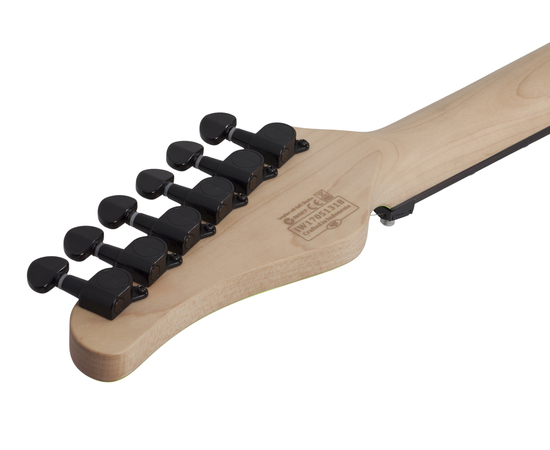 Электрогитара SCHECTER SUN VALLEY SS FR S BGRN