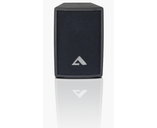 Акустика Alex Audio T10-P200 (200Вт.), фото , изображение 2