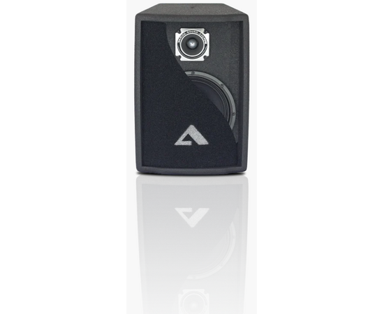 Акустика Alex Audio T10-P200 (200Вт.), фото , изображение 3