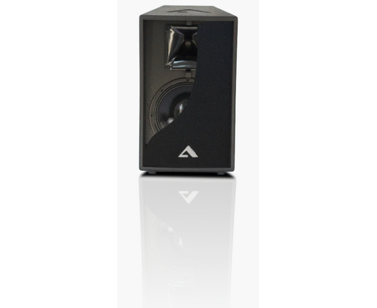 Акустика Alex Audio T12-P350 (350Вт.), фото , изображение 2