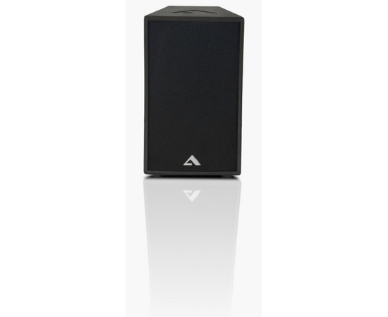 Акустика Alex Audio T12-P350 (350Вт.), фото 