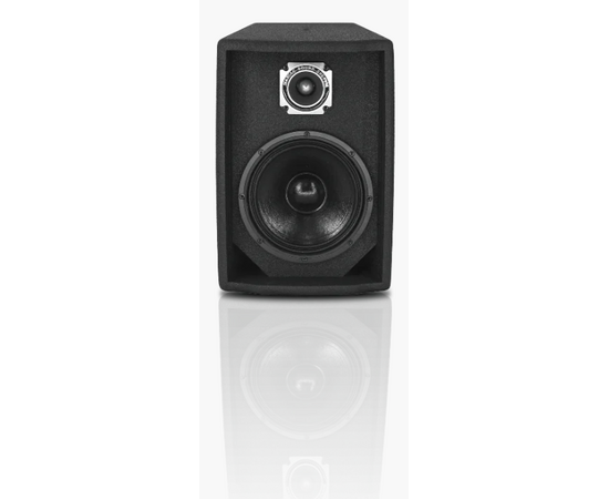 Акустика Alex Audio T8-P150 (150Вт.), фото , изображение 2