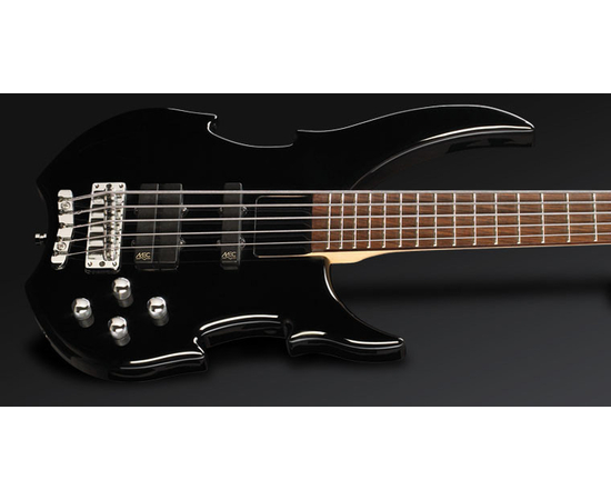 Бас-гитара WARWICK Vampyre5 Black