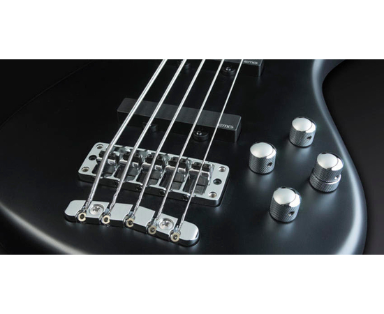 Бас-гітара WARWICK WAS1945 93AA ALD FR, image 