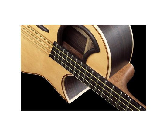 Бас-гитара WARWICK ALIEN4 Nat