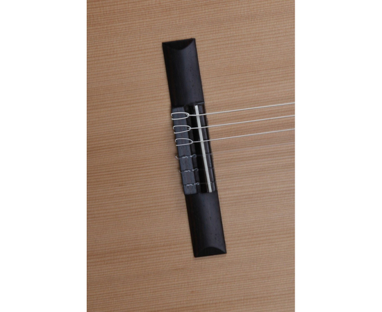 Классическая гитара Alhambra Z-Nature BAG, фото , изображение 5