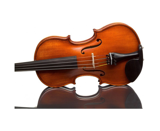 Скрипка GLIGA IV044, фото , изображение 2