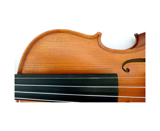 Скрипка GLIGA IV044, фото , изображение 3