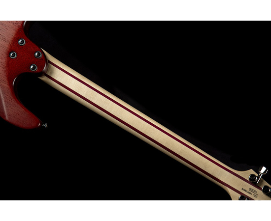 Электрогитара CORT KX500 Etched (Black)