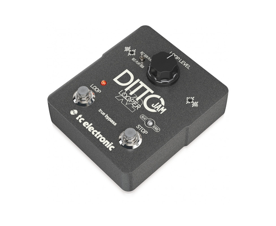 Педаль эффектов для электрогитары TC Electronic DITTO JAM X2 LOOPER, фото , изображение 2