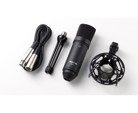 Студийный микрофон TASCAM TM-80(B)