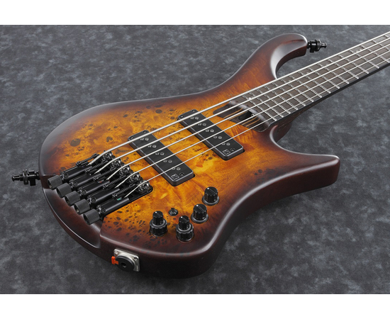 5-струнная бас-гитара IBANEZ EHB1505 DEF