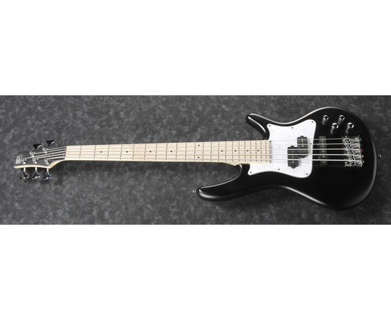 5-струнная бас-гитара IBANEZ SRMD205 BKF