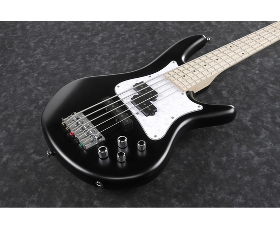 5-струнная бас-гитара IBANEZ SRMD205 BKF