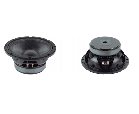 НЧ-динамик BEYMA 8WR300