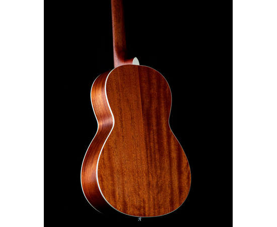 Акустическая гитара CORT AP550M (Open Pore)