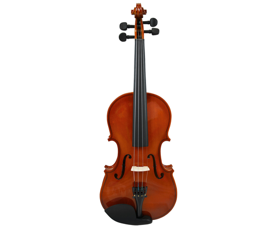 Скрипка PARKSONS CV101 4/4 - 134912 за 3513 грн. | 4Club