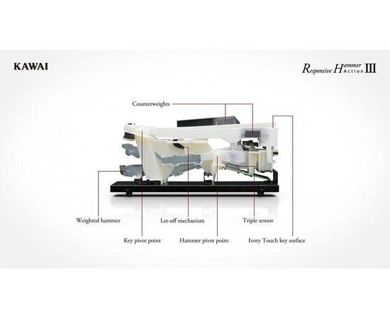 Цифровое пианино Kawai CN39RW