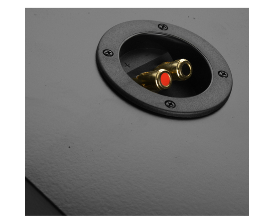 Встраиваемый сабвуфер Polk Audio CSW100, фото , изображение 3