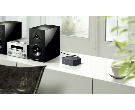 Мережевий плеєр Yamaha WXAD-10, image , зображення 5