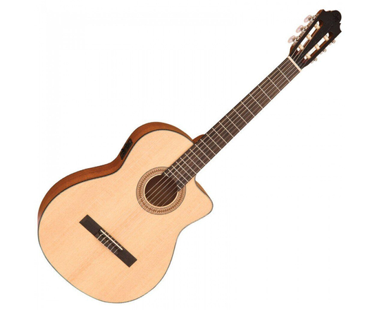 Гітара класична Santos Martinez SM250CE, image , зображення 2