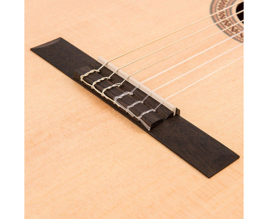 Гітара класична Santos Martinez SM250CE, image , зображення 3