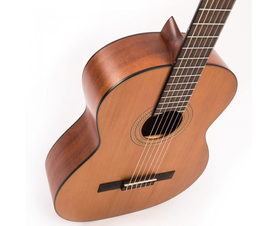 Гитара классическая Santos Martinez SM350, фото , изображение 10