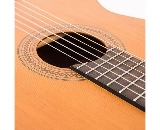 Гитара классическая Santos Martinez SM350, фото , изображение 5