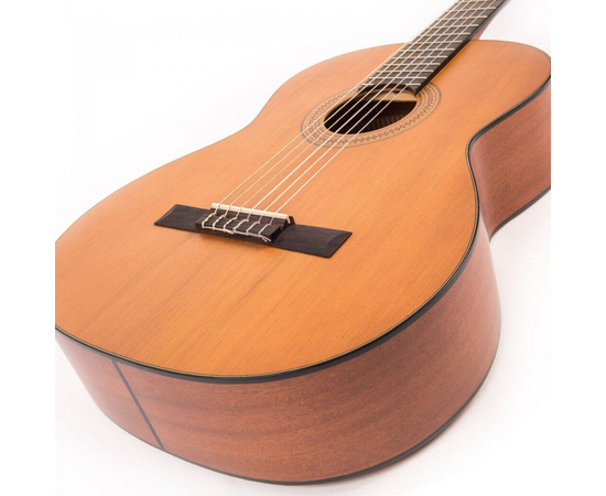 Гитара классическая Santos Martinez SM350, фото , изображение 4