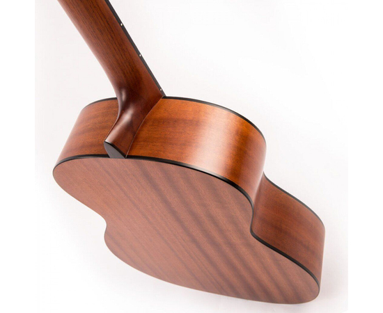 Гитара классическая Santos Martinez SM350, фото , изображение 8