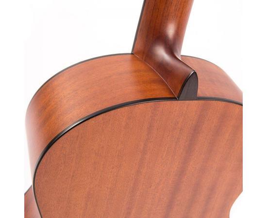Гитара классическая Santos Martinez SM350, фото , изображение 9
