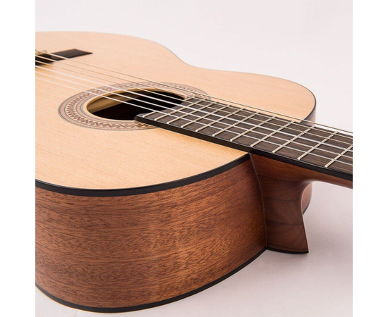 Гитара классическая Santos Martinez SM440, фото , изображение 6