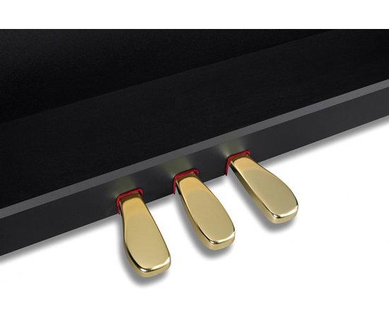 Цифровое пианино CASIO GP-310BKC7 (Black)