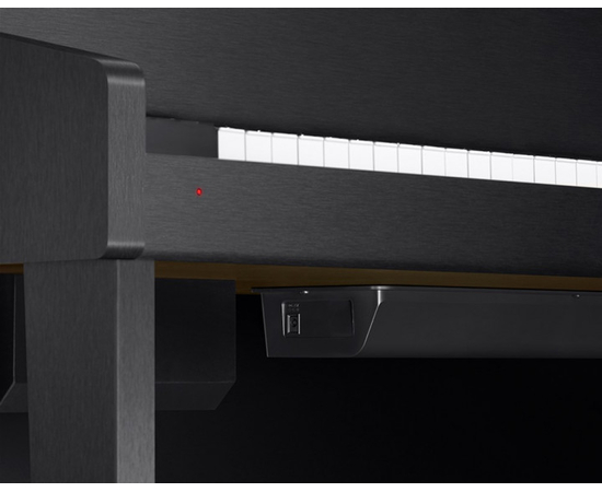 Цифровое пианино CASIO GP-310BKC7 (Black)