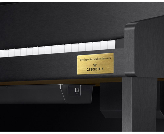 Цифровое пианино CASIO GP-310BKC7 (Black)