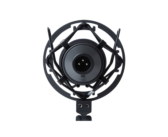 Студийный микрофон Marantz PRO MPM1000