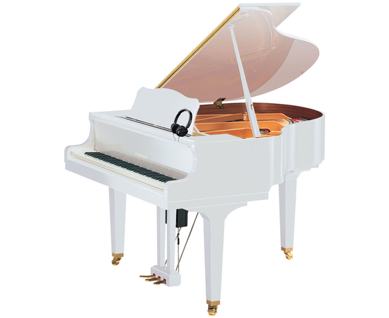 Дисклавир YAMAHA DGB1K ENST PWH - 129916 за 0 грн. | 4Club