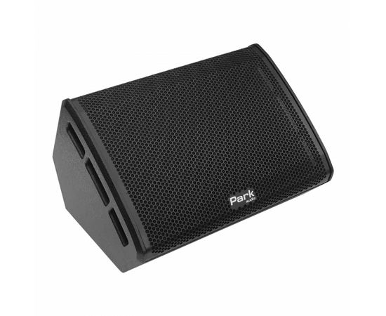 Сценический монитор Park Audio SM155, фото 