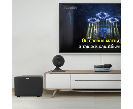 Аудіосистема для караоке Evolution EvoSound Sphere 2.1 (black)